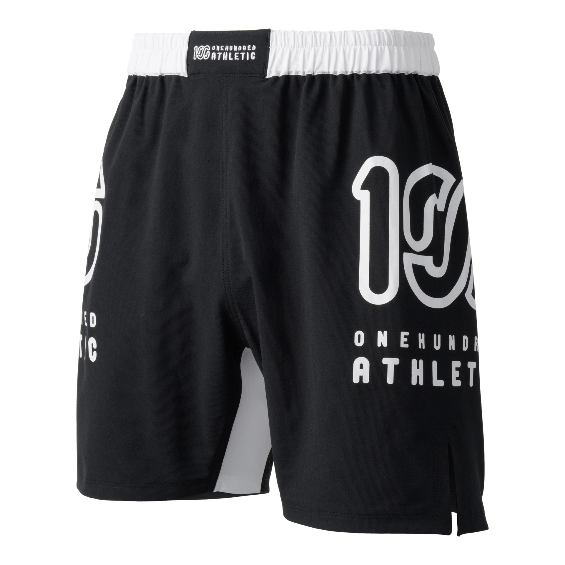 100A DRY GRAPPLE SHORTS *Type-A / BIG LOGO / BICOLOR